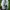 Keds Streetwear Sneakers Wanita white photo 2