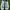 Keds Streetwear Sneakers Wanita white photo 1