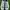 Keds Streetwear Sneakers Wanita White