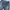 Spao Vintage Streetwear Jeans Pria blue photo 5