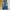 NII Vintage Streetwear Jeans Pria Blue