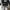 Dickies Casual Sweatshirt Pria navy photo 1