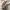 Converse Casual Sweatshirt Pria yellow photo 5