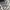Gucci Streetwear Casual Sneakers Pria White Black