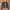 Japanese Brand Luxury Avant Garde Leather Jacket Pria Brown