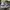 New Balance Streetwear Sneakers Pria navy photo 1