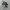 Adidas Streetwear Casual Sneakers Pria white black photo 1