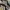 Adidas Streetwear Casual Sneakers Pria White Black