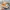 Converse Streetwear Sneakers Pria gold white photo 5