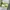 Adidas Sportswear Other Pria photo 4
