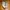 New Balance Streetwear Sportswear Sneakers Wanita tan brown photo 2