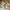 New Balance Streetwear Sportswear Sneakers Wanita tan brown photo 4