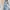 Japanese Brand Cottagecore Coquette Midi Dress Wanita White Blue