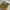Streetwear Sandals & Slide Wanita Yellow