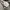 Adidas Streetwear Sportswear T-shirt Pria gray photo 4