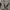 Gorpcore Sportswear Track jacket Pria tan photo 3