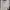Vintage Fur coat Wanita white photo 1