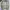 Helly Hansen Gorpcore Casual Fleece Pria cream photo 3