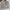 Helly Hansen Gorpcore Casual Fleece Pria cream photo 1
