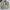 Helly Hansen Gorpcore Casual Fleece Pria Cream