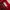 Luxury Polo shirt Pria burgundy red photo 7