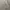 Burberry Luxury Casual Bomber jacket Pria cream photo 5