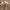 WHO.A.U Minimalist Futurist Hoody Pria tan photo 3