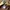 WHO.A.U Minimalist Futurist Hoody Pria tan photo 2