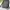 The North Face Gorpcore Windbreaker Pria gray photo 8