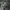 The North Face Gorpcore Windbreaker Pria gray photo 5