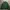 Vintage Streetwear Sweater Wanita green photo 2