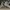 Nike Sportswear Sneakers Pria white photo 1