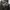 The North Face Gorpcore Casual Track jacket Pria brown black photo 5