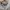 Ames Vintage Leather jacket Pria cream photo 2