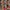 Y2K Coquette Shirt Wanita white pink photo 3