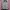 Disney Casual Sweater Wanita gray photo 1