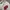 KIRSH Luxury Casual Sweater Wanita tan photo 2