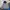MLB Streetwear Bomber jacket Pria gray photo 1