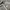 Nike Streetwear Hoody Pria tan photo 4