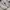 Nike Casual Sneakers Pria multicolor white photo 2