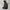 The North Face Gorpcore Sportswear Track jacket Pria black photo 1
