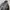 The North Face Gorpcore Sportswear Track jacket Pria black photo 4