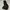 Gorpcore Sportswear Track Jacket Pria Black