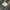 MLB Streetwear Sportswear T-shirt Pria gray photo 4