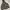 Columbia Streetwear Sportswear Hoody Pria Black