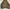 Columbia Streetwear Sportswear Hoody Pria black photo 5