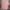Tommy Hilfiger Casual Casual shirt Pria pink photo 1