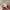 Casual Sweatshirt Pria tan photo 5
