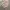 Casual Sweatshirt Pria tan photo 3