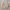 Casual Sweatshirt Pria tan photo 1
